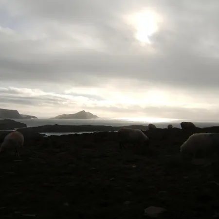 Shealane Bed & Breakfast