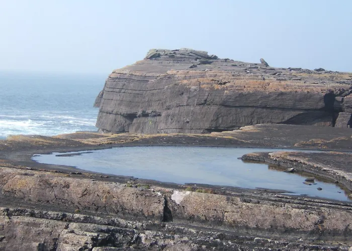 Shealane B&B 포트마지