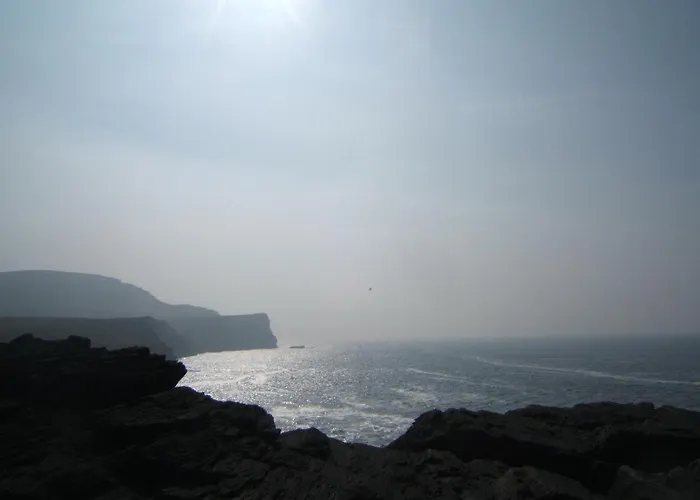 Shealane 포트마지