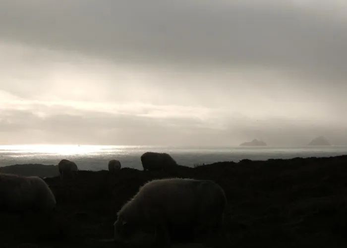 Shealane 4* 포트마지