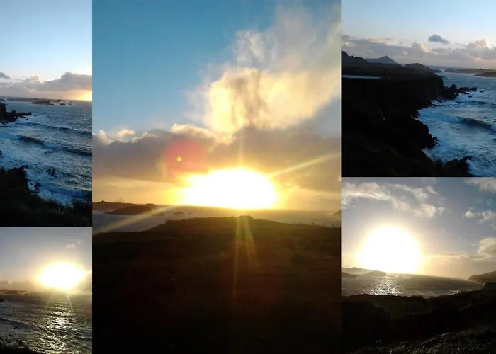 Shealane B&B 포트마지