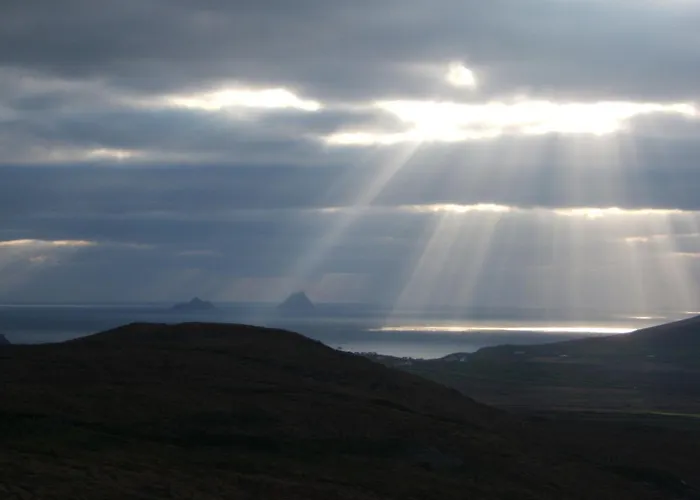 B&B Shealane 포트마지