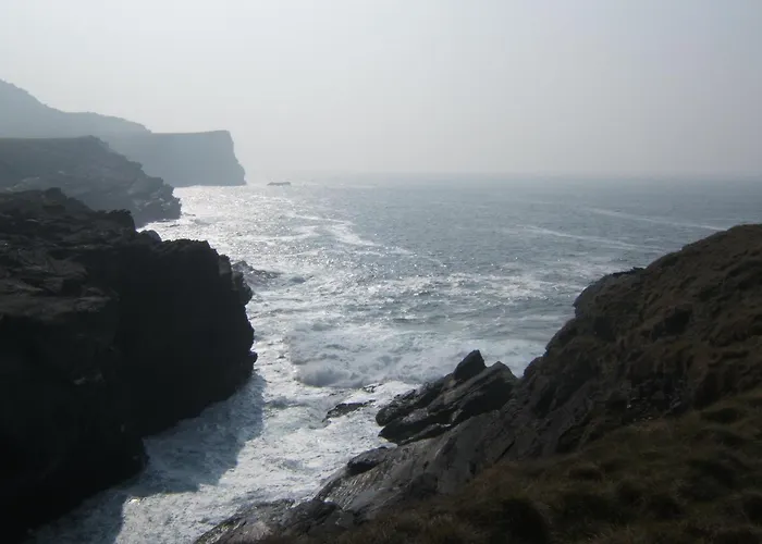 Shealane 포트마지