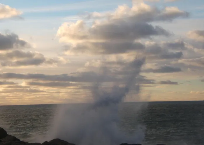 Shealane B&B 포트마지