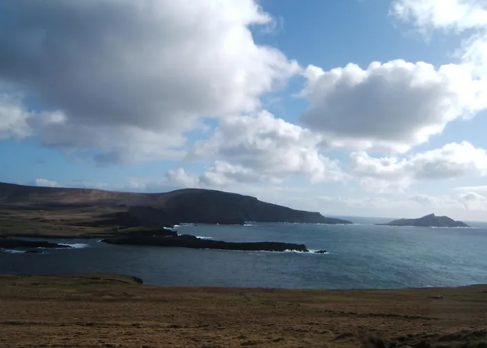 Shealane 포트마지