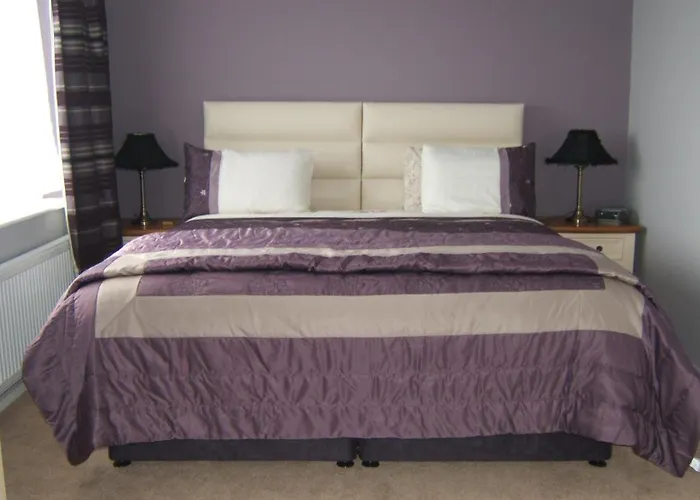 Shealane B&B 포트마지