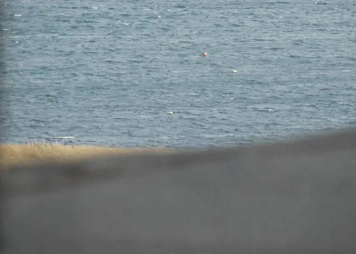 Shealane 4* 포트마지